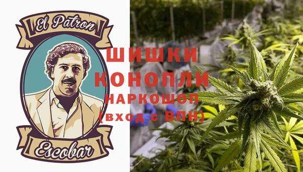 спиды Аркадак