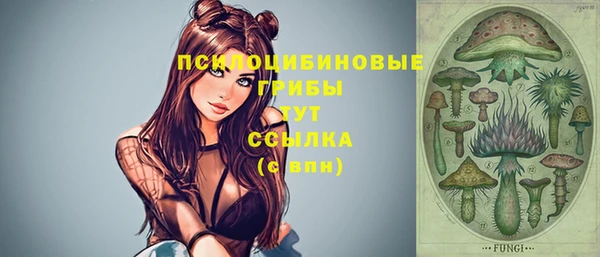 альфа пвп Армянск