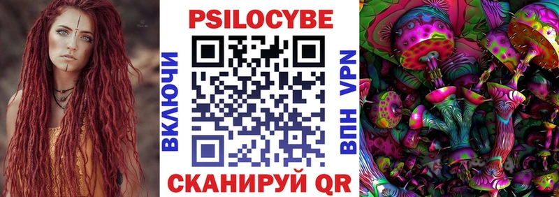Псилоцибиновые грибы Psilocybine cubensis  Темрюк 